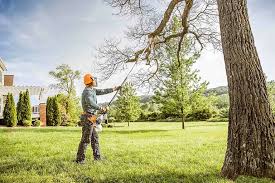 Best Tree and Shrub Care  in Arden Arde, CA